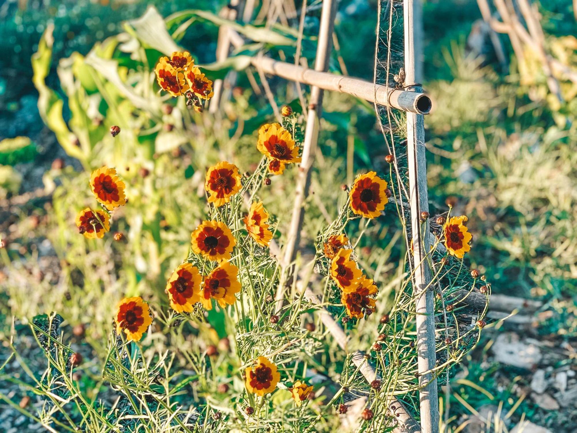 Stay At Pachamama Community Alcácer do Sal Pokoj fotografie